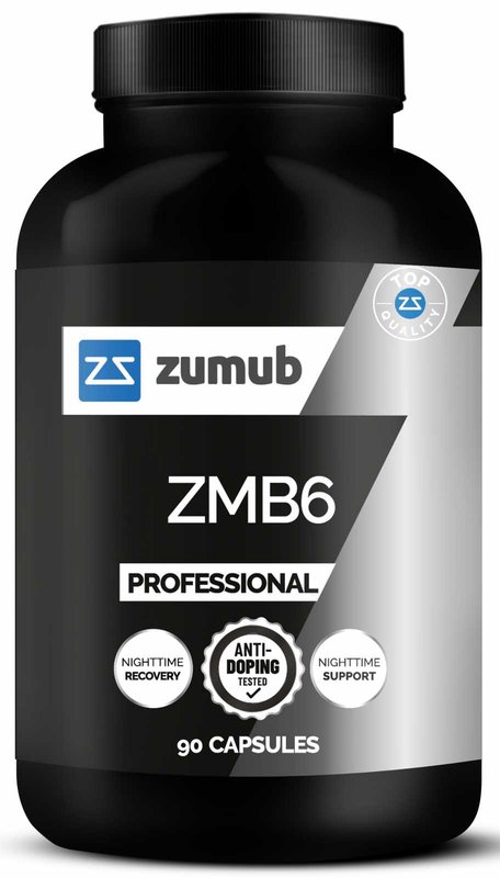 ZMB6 Profissional